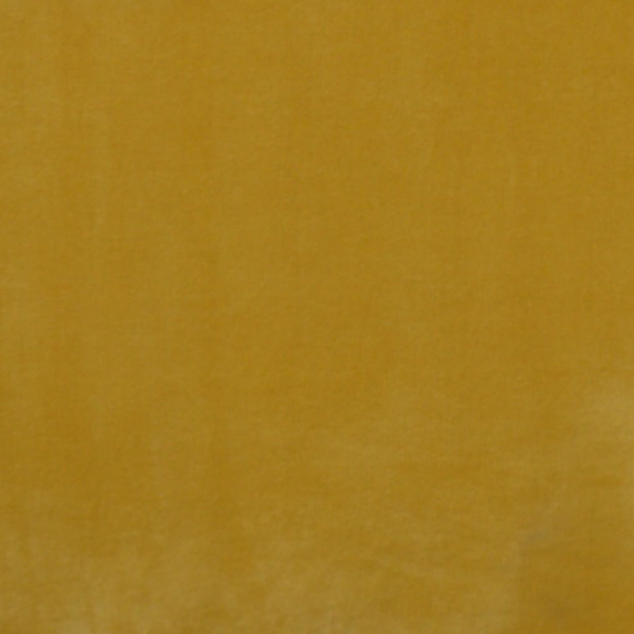 Mustard Velvet