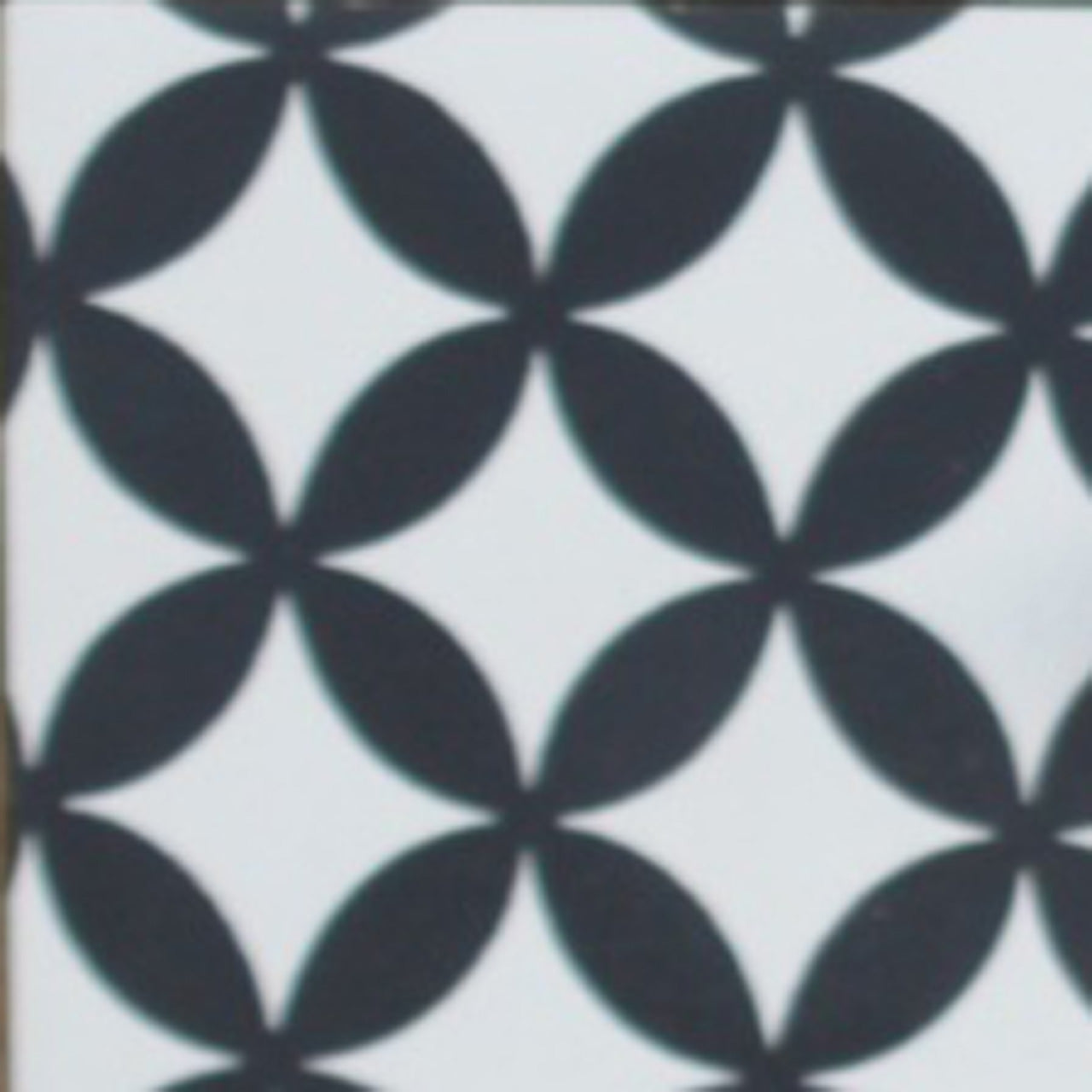Monochrome Round Screen Print